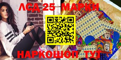 гашик Будённовск