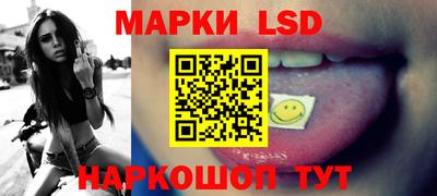 гашик Будённовск