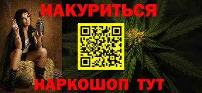 гашик Будённовск