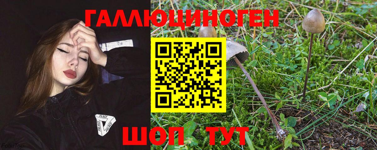 Галлюциногенные грибы прущие грибы  Вход с VPN  Галлюциногенные грибы мицелий  Рубцовск 